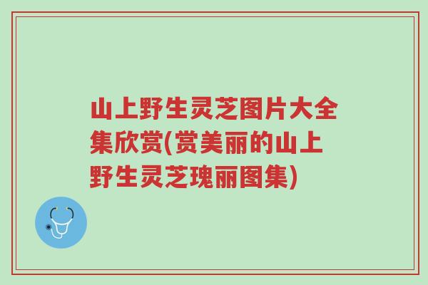 山上野生灵芝图片大全集欣赏(赏美丽的山上野生灵芝瑰丽图集)-第1张图片-超越 山上野生灵芝图片大全集欣赏(赏美丽的山上野生灵芝瑰丽图集)-第1张图片-超越