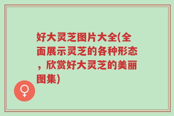 好大灵芝图片大全(全面展示灵芝的各种形态,欣赏好大灵芝的美丽图集)-第1张图片-超越 好大灵芝图片大全(全面展示灵芝的各种形态,欣赏好大灵芝的美丽图集)-第1张图片-超越