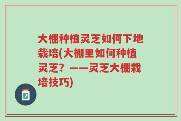 大棚种植灵芝如何下地栽培(大棚里如何种植灵芝?——灵芝大棚栽培技巧)-第1张图片-超越 大棚种植灵芝如何下地栽培(大棚里如何种植灵芝?——灵芝大棚栽培技巧)-第1张图片-超越