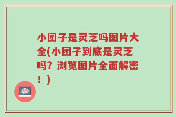小团子是灵芝吗图片大全(小团子到底是灵芝吗？浏览图片全面解密！)-第1张图片-超越