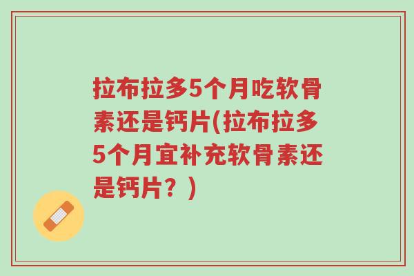 拉布拉多5个月吃软骨素还是钙片(拉布拉多5个月宜补充软骨素还是钙片?)-第1张图片-超越 拉布拉多5个月吃软骨素还是钙片(拉布拉多5个月宜补充软骨素还是钙片?)-第1张图片-超越