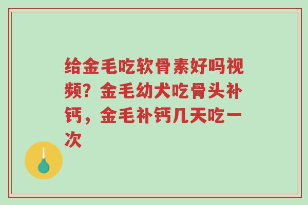 给金毛吃软骨素好吗视频？金毛幼犬吃骨头补钙，金毛补钙几天吃一次-第1张图片-超越