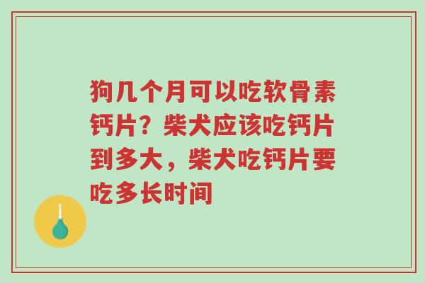 狗几个月可以吃软骨素钙片?柴犬应该吃钙片到多大,柴犬吃钙片要吃多长时间-第1张图片-超越 狗几个月可以吃软骨素钙片?柴犬应该吃钙片到多大,柴犬吃钙片要吃多长时间-第1张图片-超越