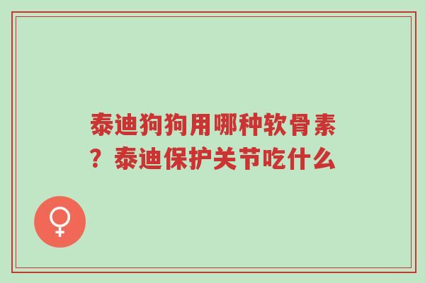 泰迪狗狗用哪种软骨素?泰迪保护关节吃什么-第1张图片-超越 泰迪狗狗用哪种软骨素?泰迪保护关节吃什么-第1张图片-超越