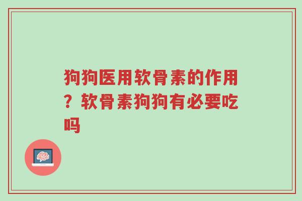 狗狗医用软骨素的作用?软骨素狗狗有必要吃吗-第1张图片-超越 狗狗医用软骨素的作用?软骨素狗狗有必要吃吗-第1张图片-超越