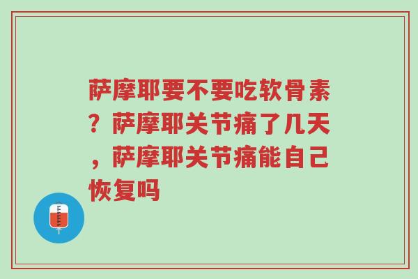 萨摩耶要不要吃软骨素?萨摩耶关节痛了几天,萨摩耶关节痛能自己恢复吗-第1张图片-超越 萨摩耶要不要吃软骨素?萨摩耶关节痛了几天,萨摩耶关节痛能自己恢复吗-第1张图片-超越