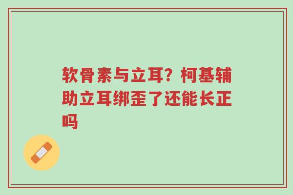 软骨素与立耳?柯基辅助立耳绑歪了还能长正吗-第1张图片-超越 软骨素与立耳?柯基辅助立耳绑歪了还能长正吗-第1张图片-超越