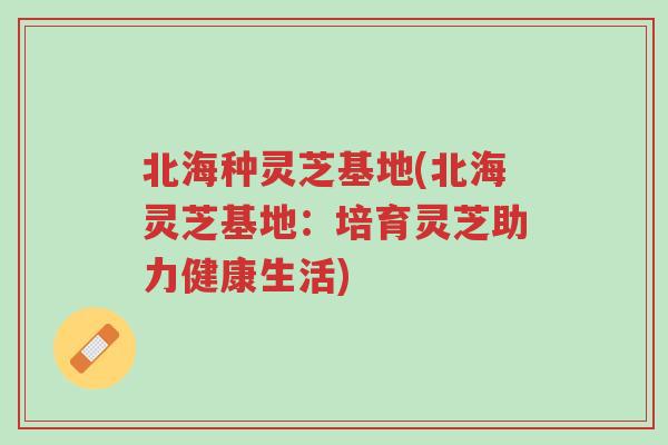 北海种灵芝基地(北海灵芝基地:培育灵芝助力健康生活)-第1张图片-超越 北海种灵芝基地(北海灵芝基地:培育灵芝助力健康生活)-第1张图片-超越