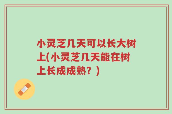 小灵芝几天可以长大树上(小灵芝几天能在树上长成成熟?)-第1张图片-超越 小灵芝几天可以长大树上(小灵芝几天能在树上长成成熟?)-第1张图片-超越