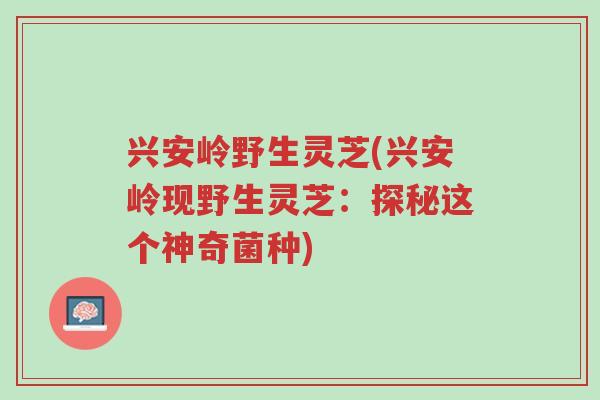 兴安岭野生灵芝(兴安岭现野生灵芝:探秘这个神奇菌种)-第1张图片-超越 兴安岭野生灵芝(兴安岭现野生灵芝:探秘这个神奇菌种)-第1张图片-超越