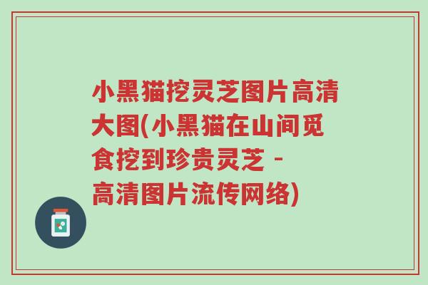 小黑猫挖灵芝图片高清大图(小黑猫在山间觅食挖到珍贵灵芝 - 高清图片流传网络)-第1张图片-超越 小黑猫挖灵芝图片高清大图(小黑猫在山间觅食挖到珍贵灵芝 - 高清图片流传网络)-第1张图片-超越