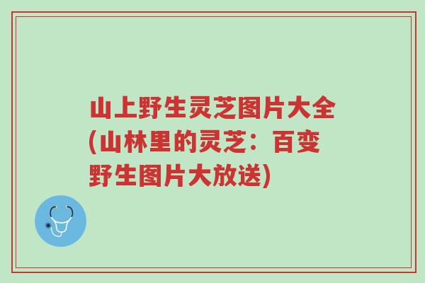 山上野生灵芝图片大全(山林里的灵芝:百变野生图片大放送)-第1张图片-超越 山上野生灵芝图片大全(山林里的灵芝:百变野生图片大放送)-第1张图片-超越