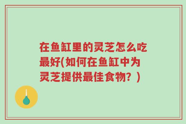 在鱼缸里的灵芝怎么吃最好(如何在鱼缸中为灵芝提供最佳食物?)-第1张图片-超越 在鱼缸里的灵芝怎么吃最好(如何在鱼缸中为灵芝提供最佳食物?)-第1张图片-超越