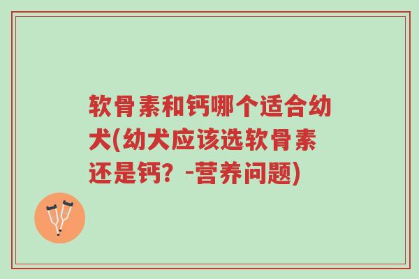 软骨素和钙哪个适合幼犬(幼犬应该选软骨素还是钙?-营养问题)-第1张图片-超越 软骨素和钙哪个适合幼犬(幼犬应该选软骨素还是钙?-营养问题)-第1张图片-超越