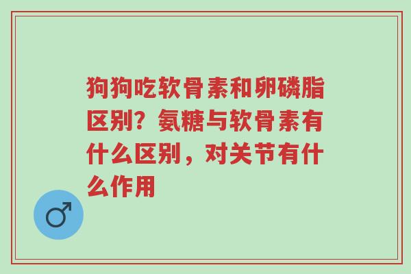 狗狗吃软骨素和卵磷脂区别?氨糖与软骨素有什么区别,对关节有什么作用-第1张图片-超越 狗狗吃软骨素和卵磷脂区别?氨糖与软骨素有什么区别,对关节有什么作用-第1张图片-超越