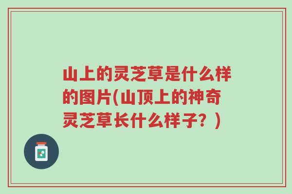 山上的灵芝草是什么样的图片(山顶上的神奇灵芝草长什么样子?)-第1张图片-超越 山上的灵芝草是什么样的图片(山顶上的神奇灵芝草长什么样子?)-第1张图片-超越