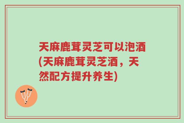天麻鹿茸灵芝可以泡酒(天麻鹿茸灵芝酒,天然配方提升养生)-第1张图片-超越 天麻鹿茸灵芝可以泡酒(天麻鹿茸灵芝酒,天然配方提升养生)-第1张图片-超越