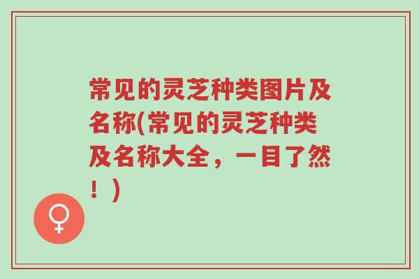常见的灵芝种类图片及名称(常见的灵芝种类及名称大全,一目了然!)-第1张图片-超越 常见的灵芝种类图片及名称(常见的灵芝种类及名称大全,一目了然!)-第1张图片-超越