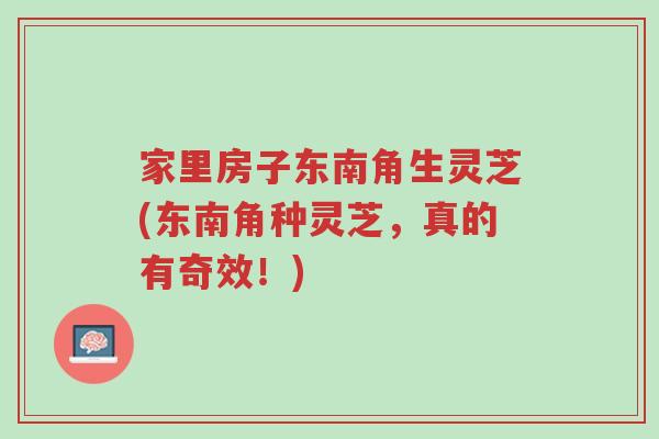 家里房子东南角生灵芝(东南角种灵芝,真的有奇效!)-第1张图片-超越 家里房子东南角生灵芝(东南角种灵芝,真的有奇效!)-第1张图片-超越