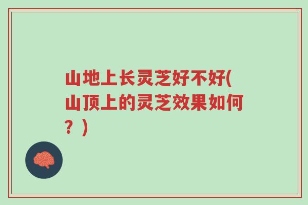 山地上长灵芝好不好(山顶上的灵芝效果如何?)-第1张图片-超越 山地上长灵芝好不好(山顶上的灵芝效果如何?)-第1张图片-超越