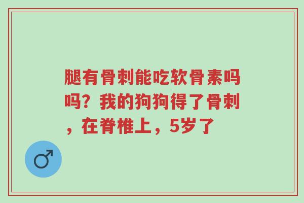 腿有骨刺能吃软骨素吗吗?我的狗狗得了骨刺,在脊椎上,5岁了-第1张图片-超越 腿有骨刺能吃软骨素吗吗?我的狗狗得了骨刺,在脊椎上,5岁了-第1张图片-超越