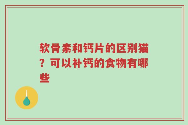 软骨素和钙片的区别猫?可以补钙的食物有哪些-第1张图片-超越 软骨素和钙片的区别猫?可以补钙的食物有哪些-第1张图片-超越