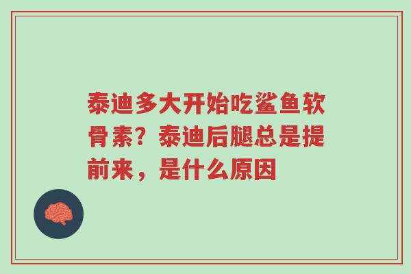 泰迪多大开始吃鲨鱼软骨素?泰迪后腿总是提前来,是什么原因-第1张图片-超越 泰迪多大开始吃鲨鱼软骨素?泰迪后腿总是提前来,是什么原因-第1张图片-超越