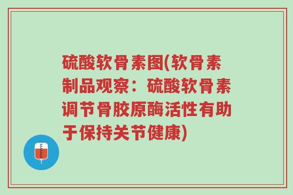 硫酸软骨素图(软骨素制品观察:硫酸软骨素调节骨胶原酶活性有助于保持关节健康)-第1张图片-超越 硫酸软骨素图(软骨素制品观察:硫酸软骨素调节骨胶原酶活性有助于保持关节健康)-第1张图片-超越
