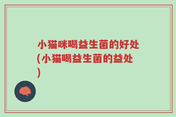 小猫咪喝益生菌的好处(小猫喝益生菌的益处)-第1张图片-超越 小猫咪喝益生菌的好处(小猫喝益生菌的益处)-第1张图片-超越