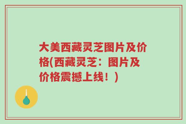 大美西藏灵芝图片及价格(西藏灵芝:图片及价格震撼上线!)-第1张图片-超越 大美西藏灵芝图片及价格(西藏灵芝:图片及价格震撼上线!)-第1张图片-超越