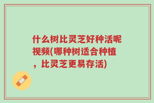 什么树比灵芝好种活呢视频(哪种树适合种植,比灵芝更易存活)-第1张图片-超越 什么树比灵芝好种活呢视频(哪种树适合种植,比灵芝更易存活)-第1张图片-超越