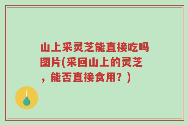 山上采灵芝能直接吃吗图片(采回山上的灵芝,能否直接食用?)-第1张图片-超越 山上采灵芝能直接吃吗图片(采回山上的灵芝,能否直接食用?)-第1张图片-超越