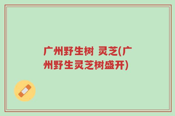 广州野生树 灵芝(广州野生灵芝树盛开)-第1张图片-超越 广州野生树 灵芝(广州野生灵芝树盛开)-第1张图片-超越