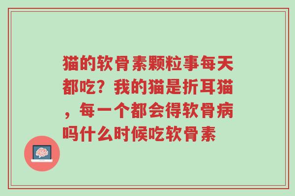 猫的软骨素颗粒事每天都吃?我的猫是折耳猫,每一个都会得软骨病吗什么时候吃软骨素-第1张图片-超越 猫的软骨素颗粒事每天都吃?我的猫是折耳猫,每一个都会得软骨病吗什么时候吃软骨素-第1张图片-超越