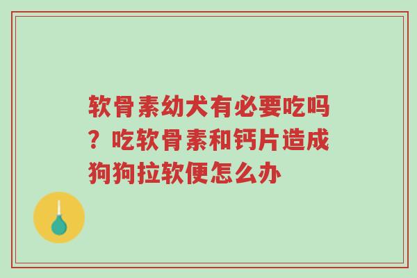 软骨素幼犬有必要吃吗?吃软骨素和钙片造成狗狗拉软便怎么办-第1张图片-超越 软骨素幼犬有必要吃吗?吃软骨素和钙片造成狗狗拉软便怎么办-第1张图片-超越