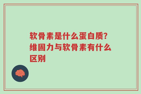 软骨素是什么蛋白质?维固力与软骨素有什么区别-第1张图片-超越 软骨素是什么蛋白质?维固力与软骨素有什么区别-第1张图片-超越
