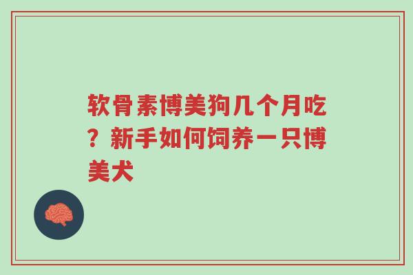软骨素博美狗几个月吃?新手如何饲养一只博美犬-第1张图片-超越 软骨素博美狗几个月吃?新手如何饲养一只博美犬-第1张图片-超越