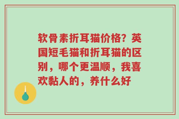 软骨素折耳猫价格?英国短毛猫和折耳猫的区别,哪个更温顺,我喜欢黏人的,养什么好-第1张图片-超越 软骨素折耳猫价格?英国短毛猫和折耳猫的区别,哪个更温顺,我喜欢黏人的,养什么好-第1张图片-超越