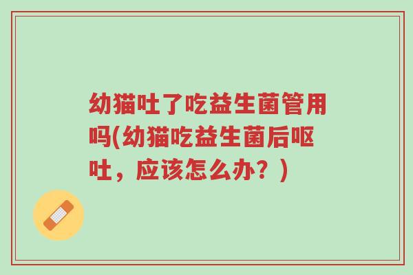 幼猫吐了吃益生菌管用吗(幼猫吃益生菌后呕吐,应该怎么办?)-第1张图片-超越 幼猫吐了吃益生菌管用吗(幼猫吃益生菌后呕吐,应该怎么办?)-第1张图片-超越