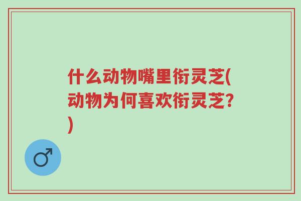 什么动物嘴里衔灵芝(动物为何喜欢衔灵芝?)-第1张图片-超越 什么动物嘴里衔灵芝(动物为何喜欢衔灵芝?)-第1张图片-超越
