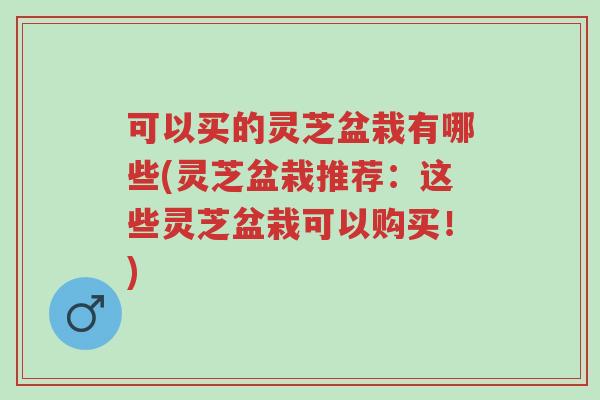 可以买的灵芝盆栽有哪些(灵芝盆栽推荐:这些灵芝盆栽可以购买!)-第1张图片-超越 可以买的灵芝盆栽有哪些(灵芝盆栽推荐:这些灵芝盆栽可以购买!)-第1张图片-超越