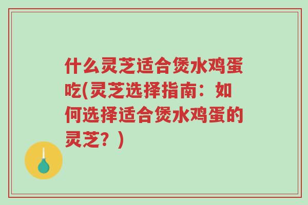 什么灵芝适合煲水鸡蛋吃(灵芝选择指南:如何选择适合煲水鸡蛋的灵芝?)-第1张图片-超越 什么灵芝适合煲水鸡蛋吃(灵芝选择指南:如何选择适合煲水鸡蛋的灵芝?)-第1张图片-超越