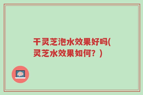 干灵芝泡水效果好吗(灵芝水效果如何？)-第1张图片-超越