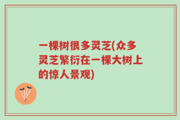 一棵树很多灵芝(众多灵芝繁衍在一棵大树上的惊人景观)-第1张图片-超越 一棵树很多灵芝(众多灵芝繁衍在一棵大树上的惊人景观)-第1张图片-超越