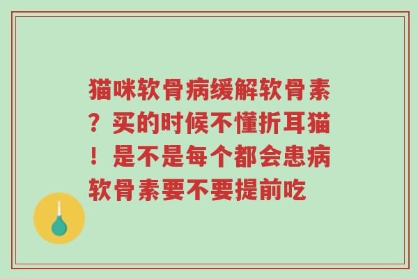 猫咪软骨病缓解软骨素?买的时候不懂折耳猫!是不是每个都会患病软骨素要不要提前吃-第1张图片-超越 猫咪软骨病缓解软骨素?买的时候不懂折耳猫!是不是每个都会患病软骨素要不要提前吃-第1张图片-超越