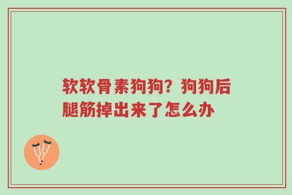 软软骨素狗狗?狗狗后腿筋掉出来了怎么办-第1张图片-超越 软软骨素狗狗?狗狗后腿筋掉出来了怎么办-第1张图片-超越