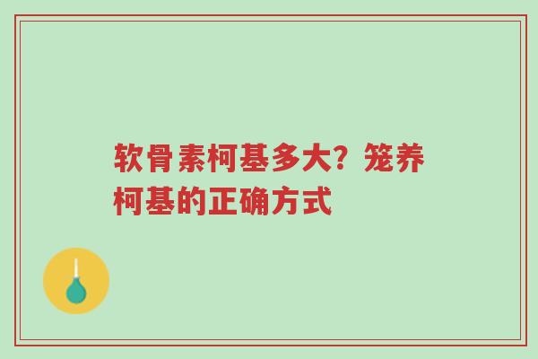 软骨素柯基多大?笼养柯基的正确方式-第1张图片-超越 软骨素柯基多大?笼养柯基的正确方式-第1张图片-超越