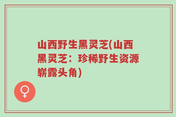 山西野生黑灵芝(山西黑灵芝:珍稀野生资源崭露头角)-第1张图片-超越 山西野生黑灵芝(山西黑灵芝:珍稀野生资源崭露头角)-第1张图片-超越