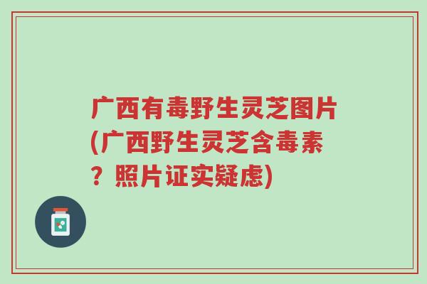 广西有毒野生灵芝图片(广西野生灵芝含毒素?照片证实疑虑)-第1张图片-超越 广西有毒野生灵芝图片(广西野生灵芝含毒素?照片证实疑虑)-第1张图片-超越