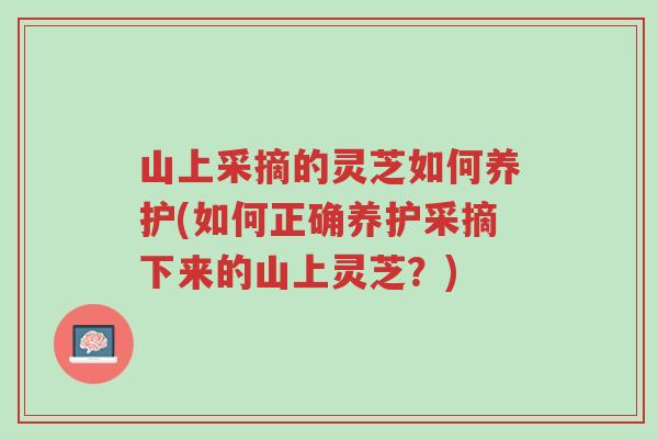 山上采摘的灵芝如何养护(如何正确养护采摘下来的山上灵芝？)-第1张图片-超越